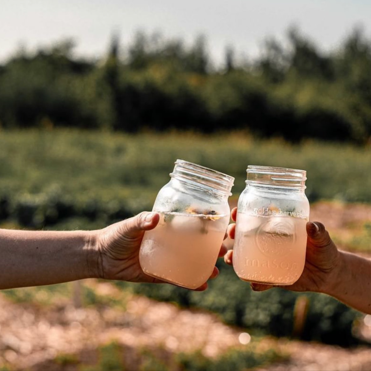 Deux mains qui tiennent des cocktails dans un jardin