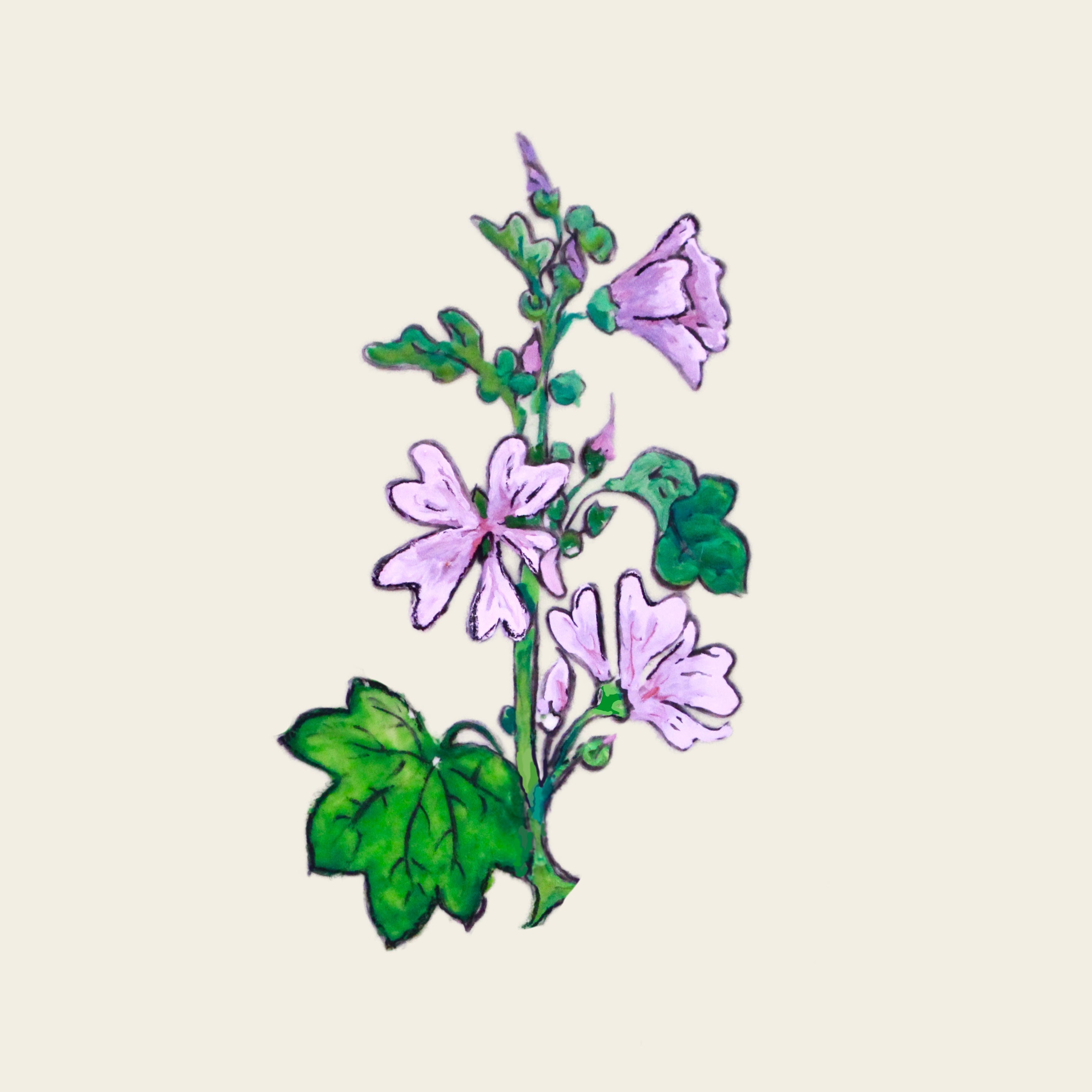 Mauve