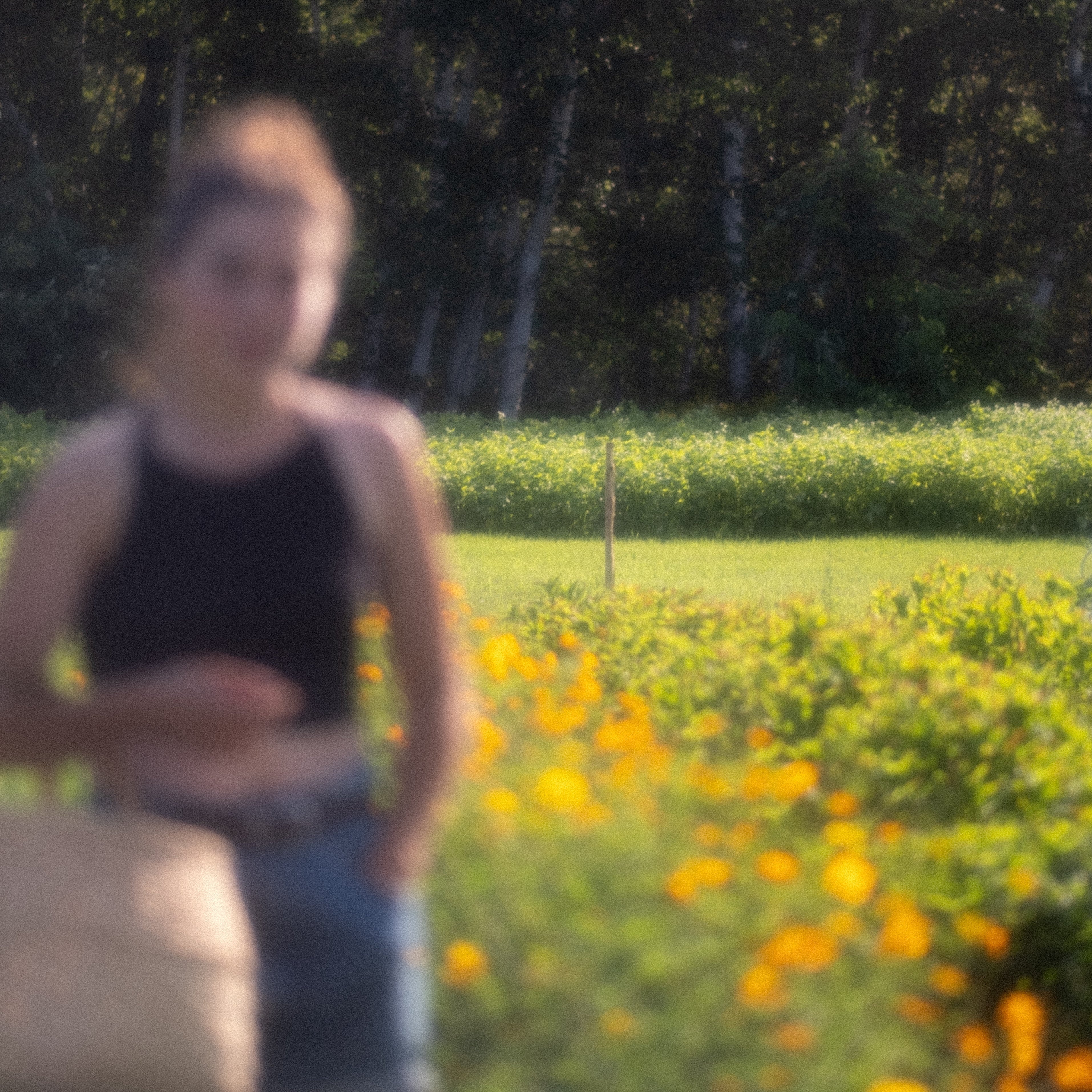 5 ans de Silva Herbo • 5 ans de magie