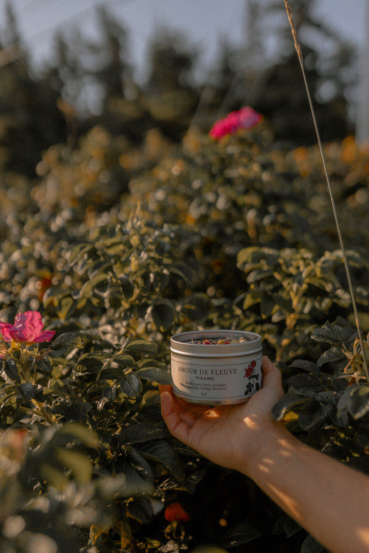 Tisane AMOUR DE FLEUVE