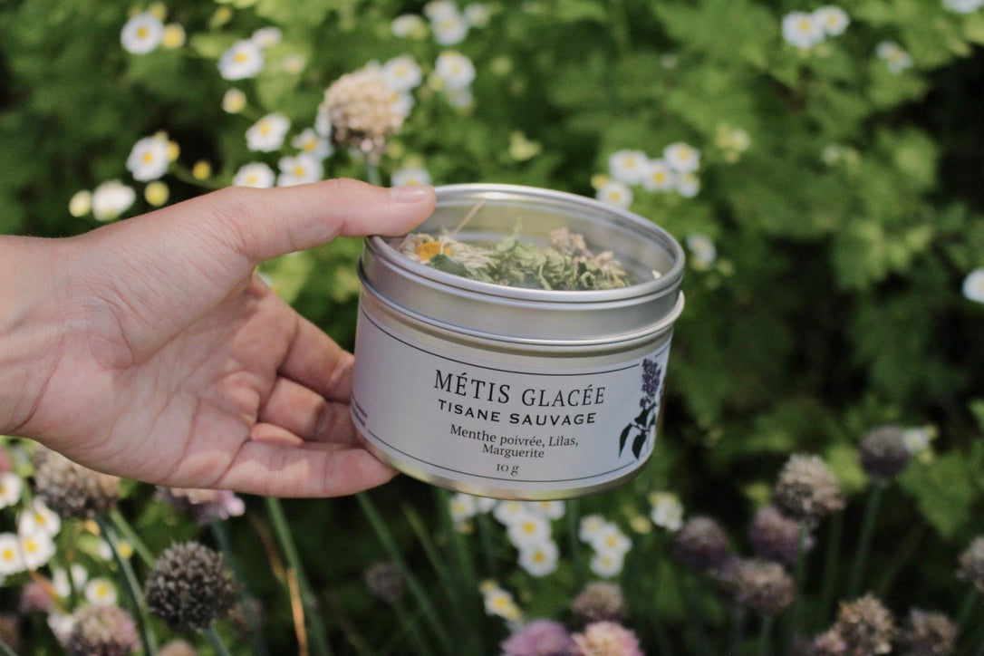 Tisane Métis Glacée