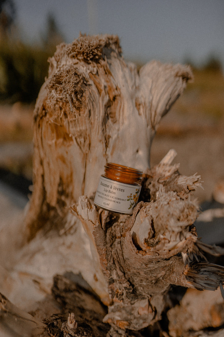 Baume à lèvres