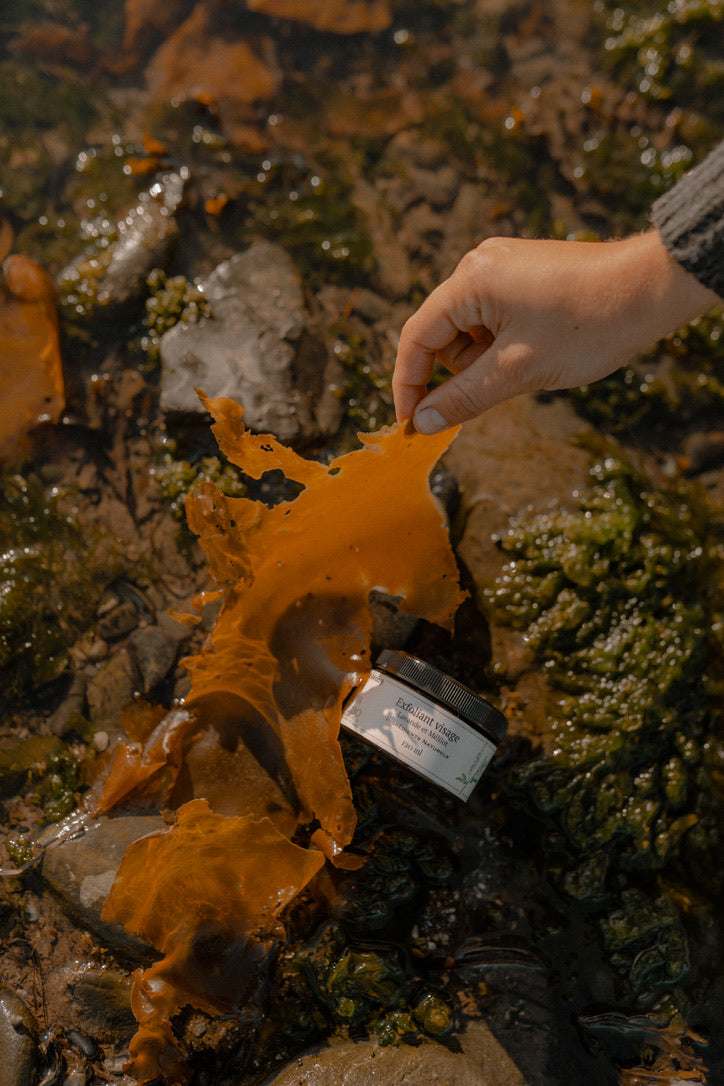 TRIO - SOINS DU VISAGE