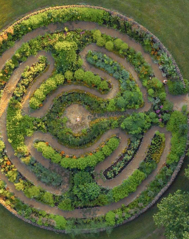 La roue de la Médecine
