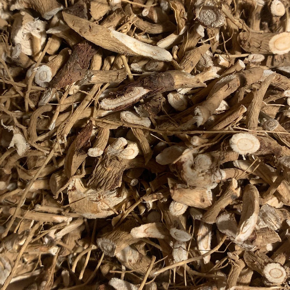 Astragale