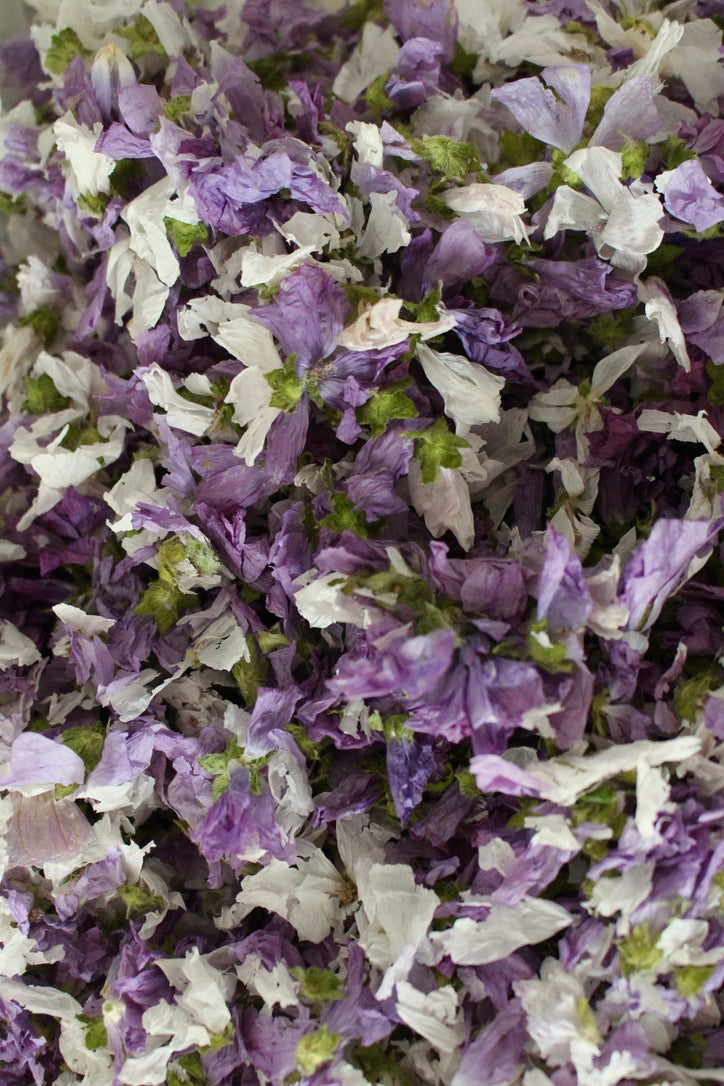 Mauve musquée