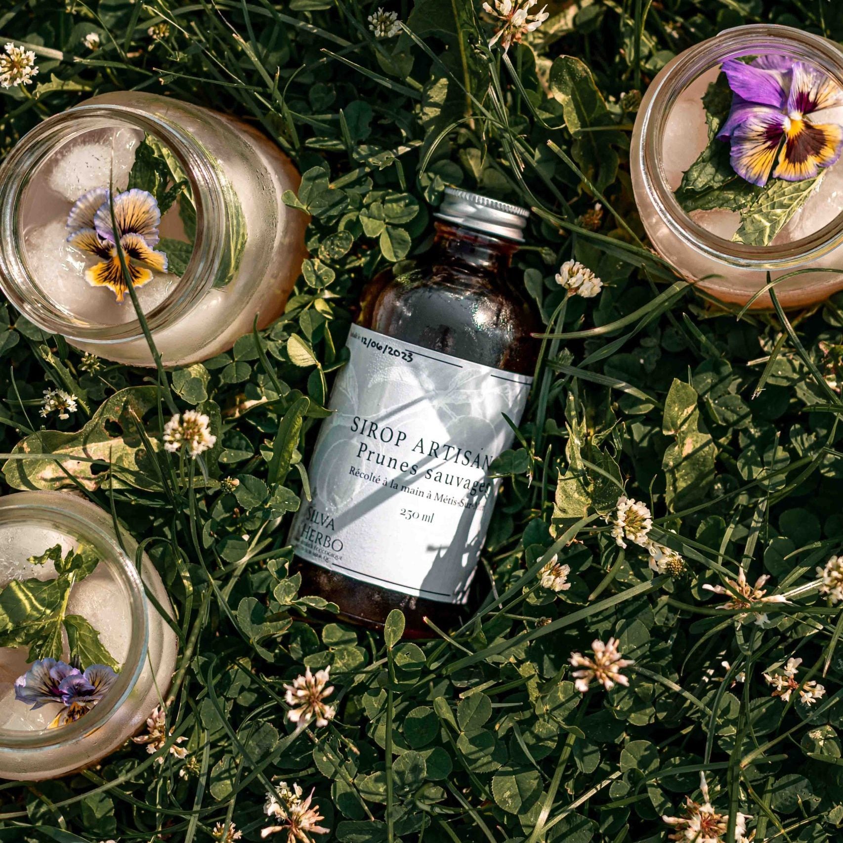 Sirop de prunes sauvages