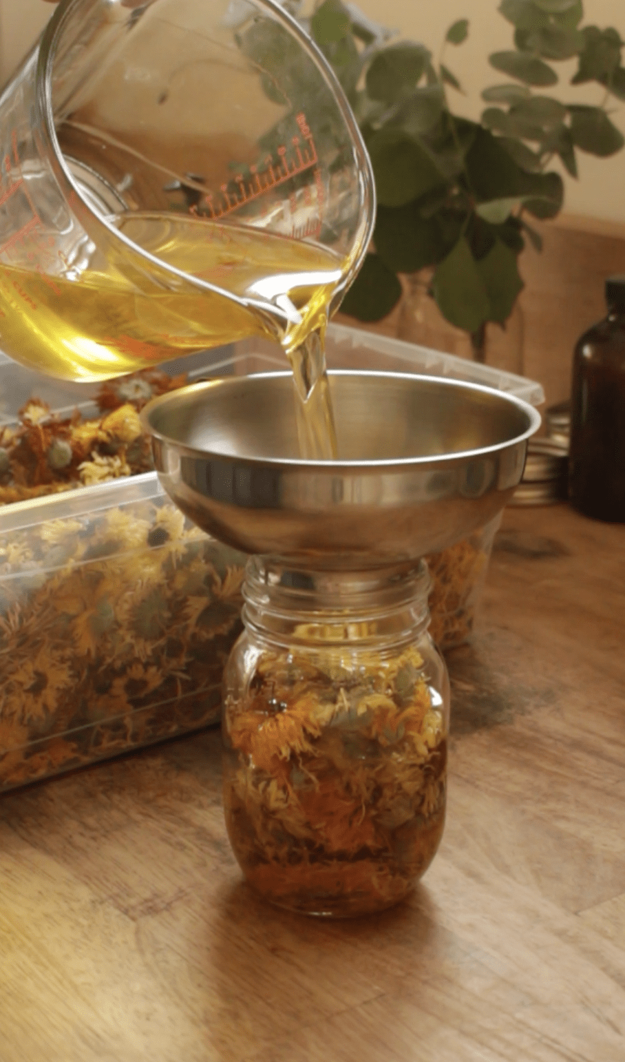 Atelier d'initiation aux extraits de plantes médicinales