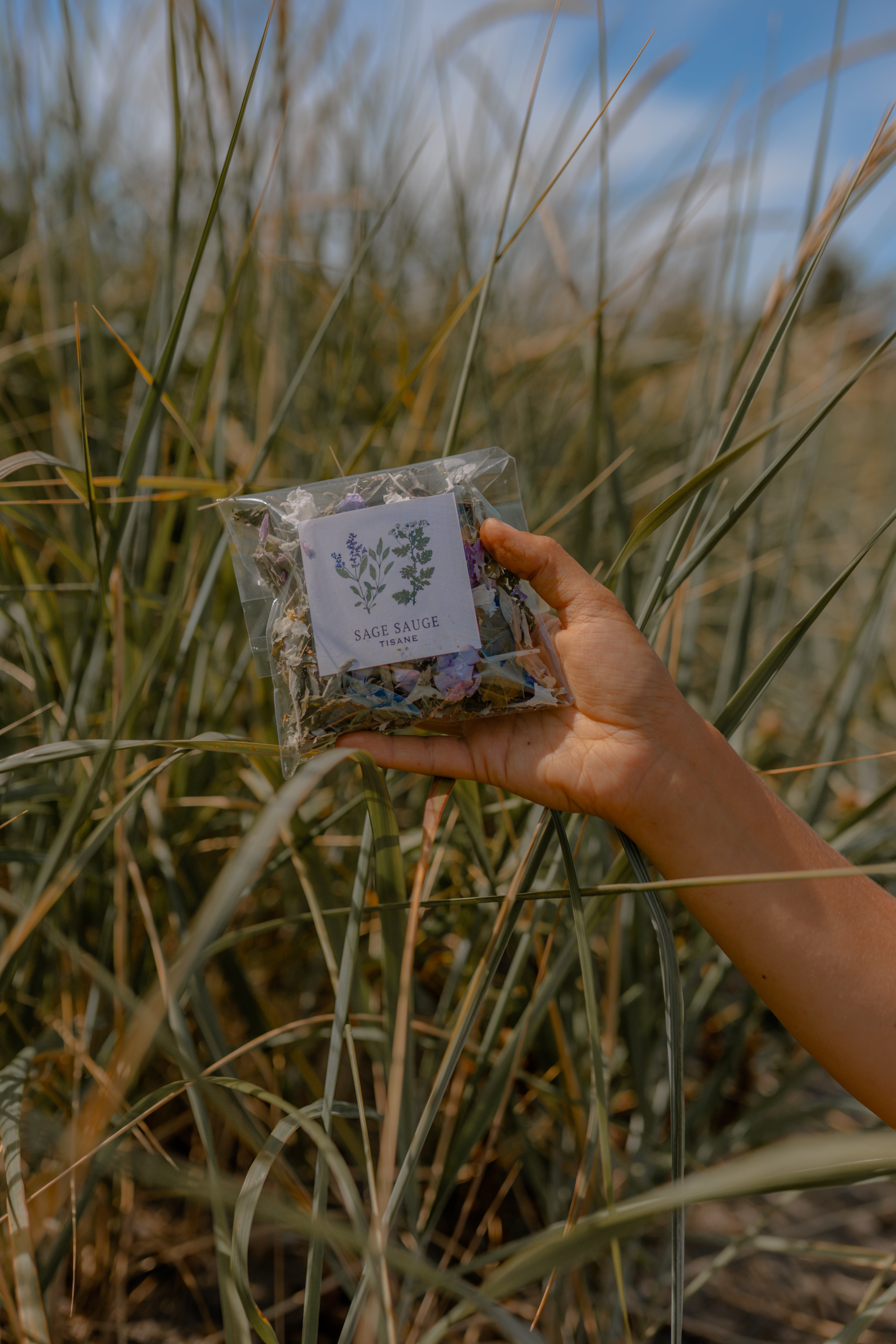 Tisane SAGE SAUGE