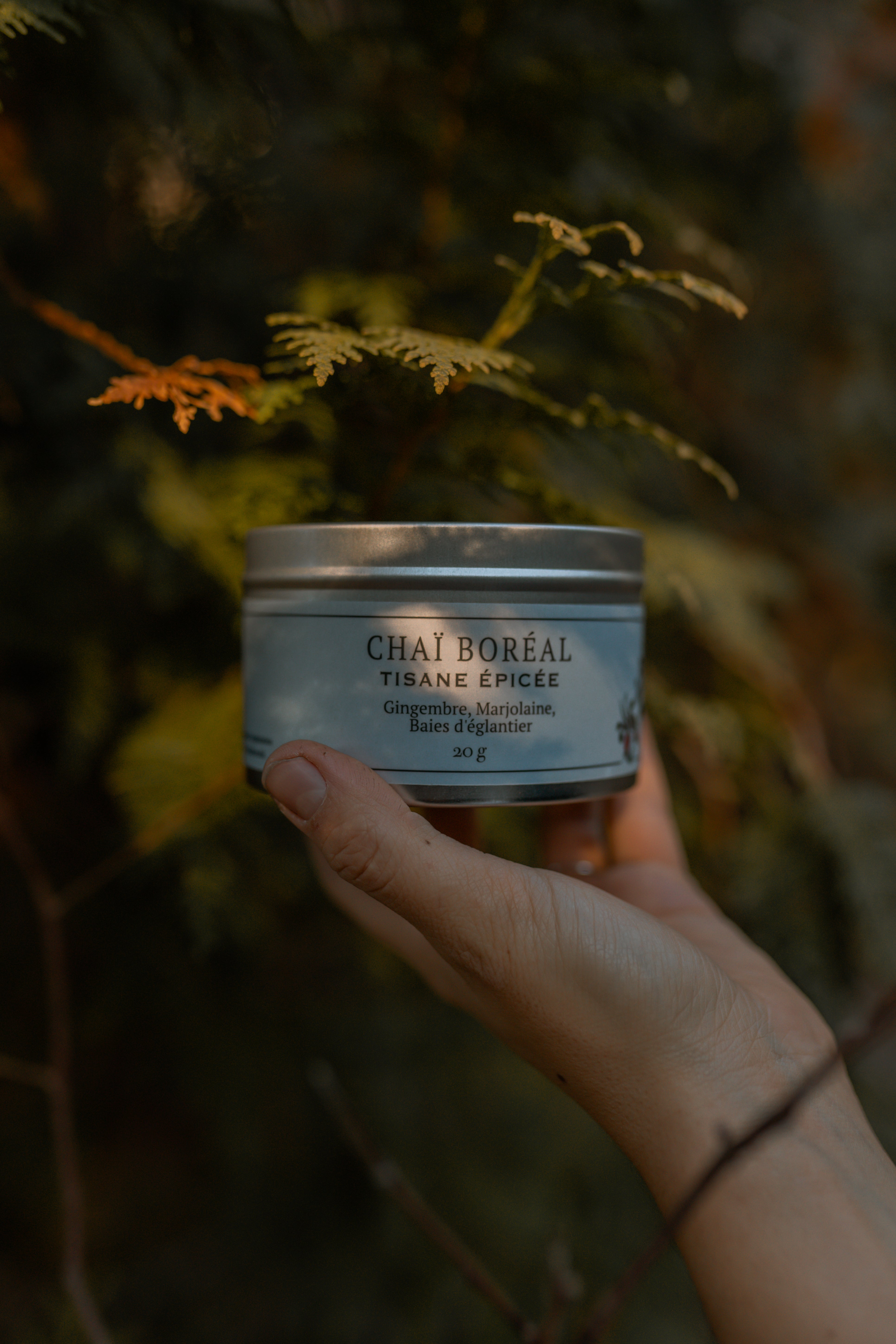 Tisane CHAÏ BORÉAL