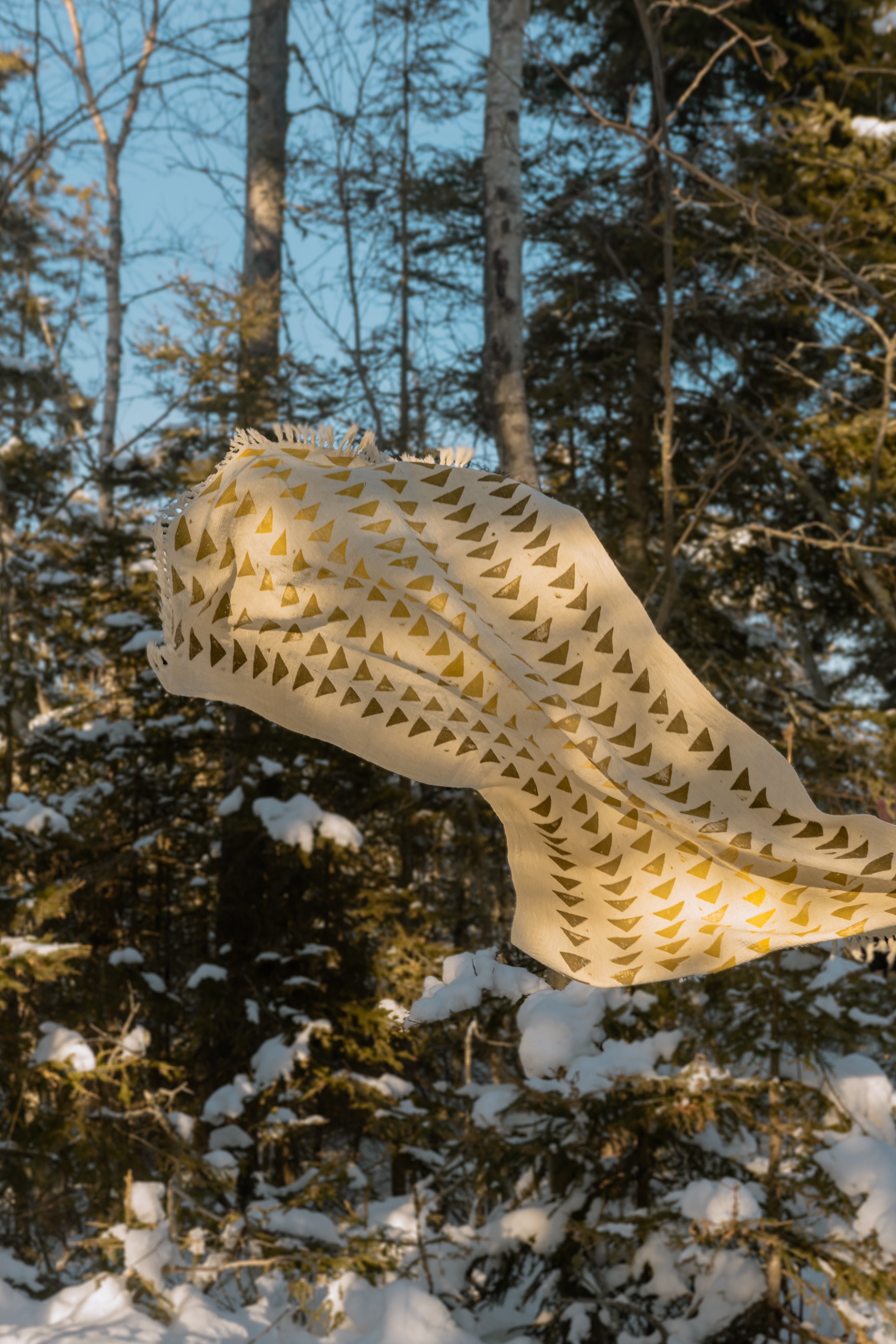 Jeté de coton – Verge d'or