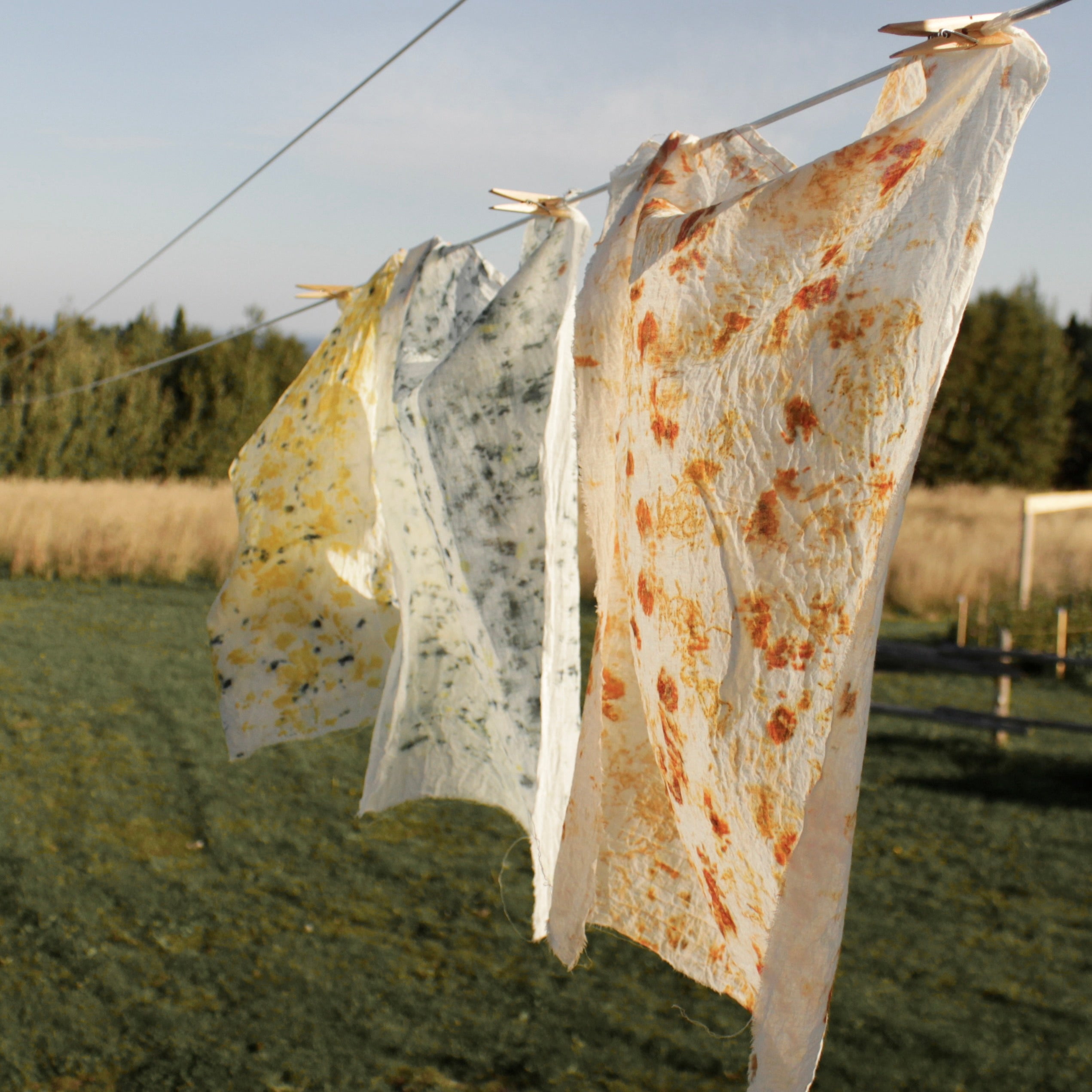 Atelier d'impression botanique