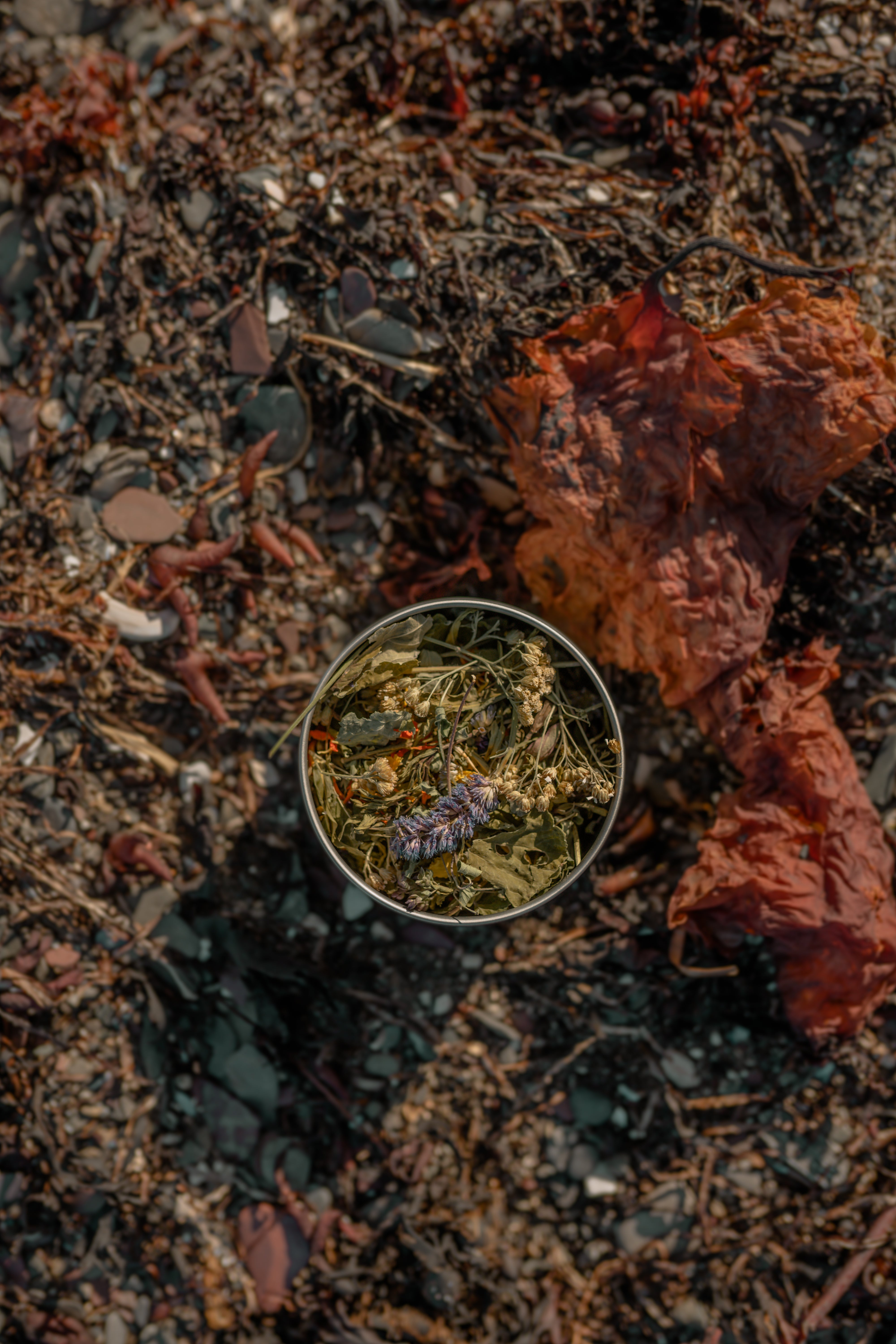 Tisane AU BORD DU FEU