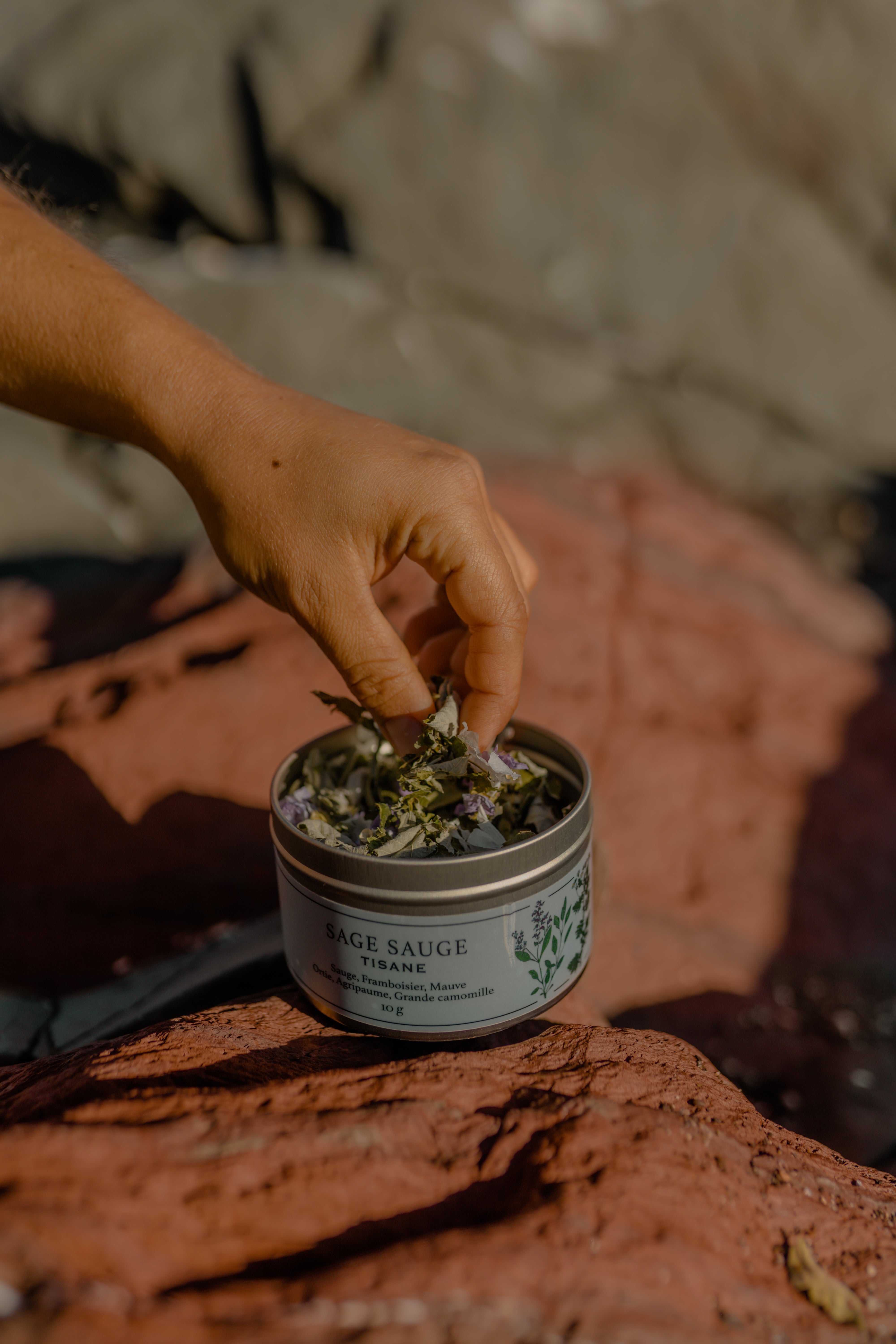 Tisane SAGE SAUGE