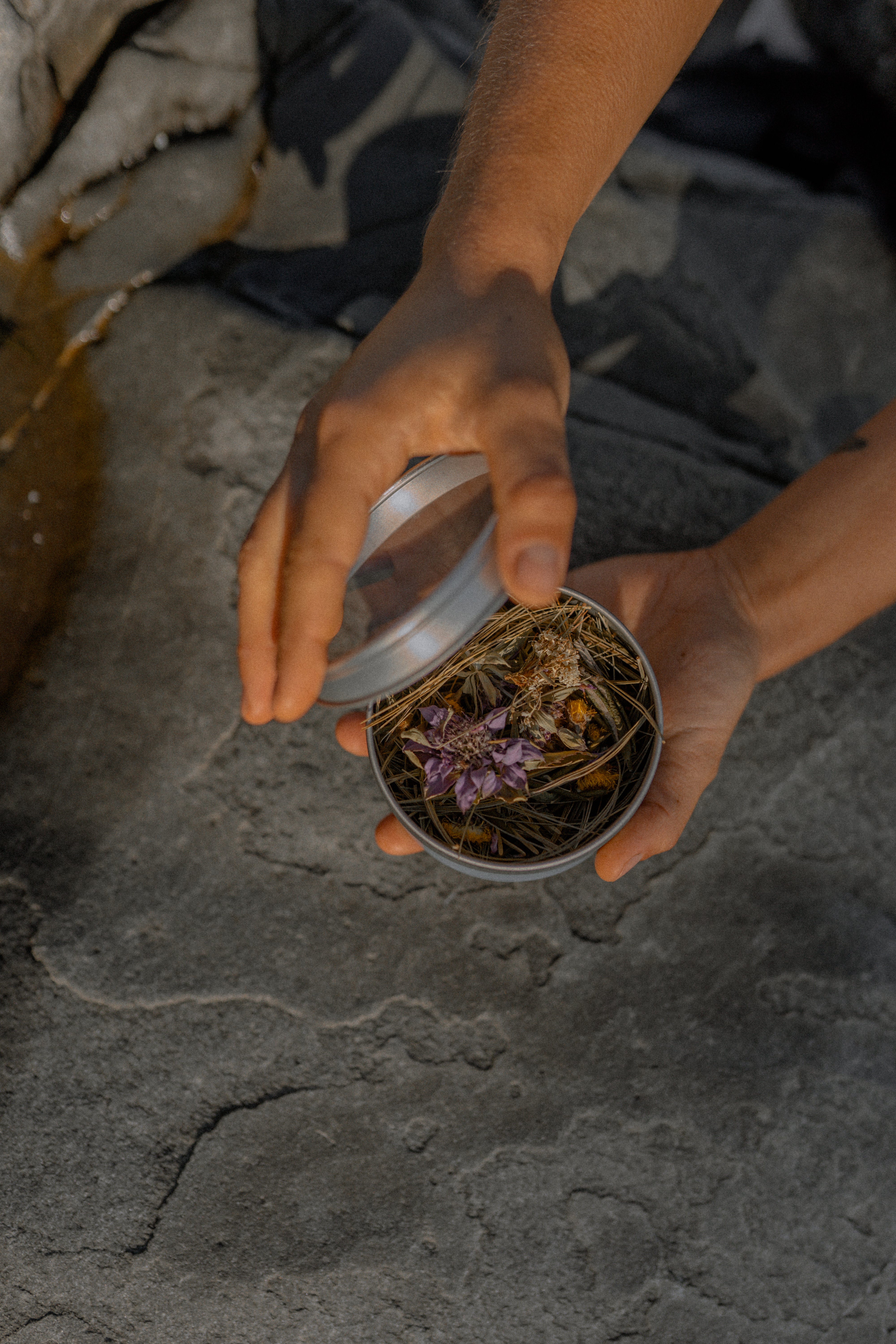 Tisane SUR LES PISTES
