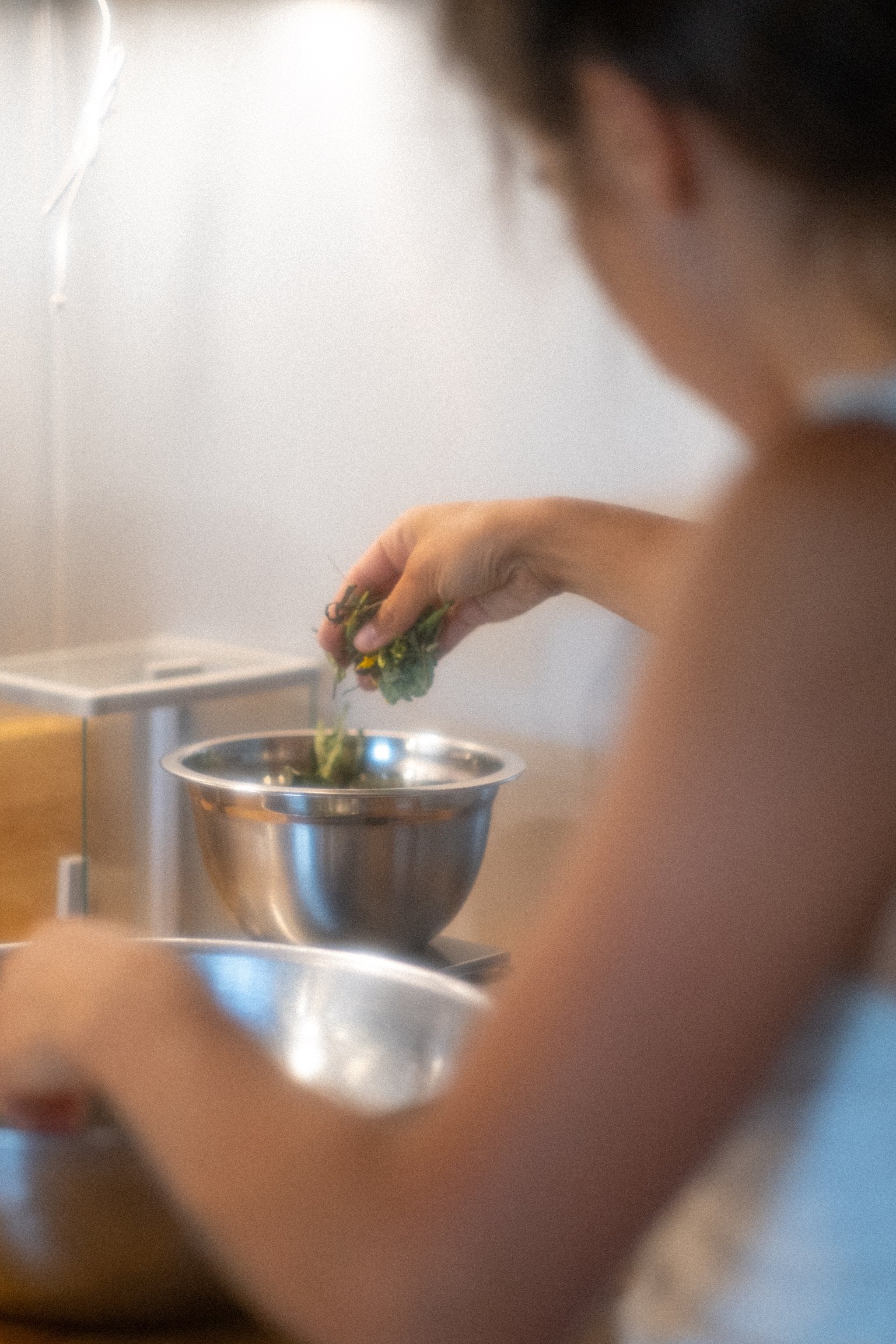 Atelier d'initiation aux extraits de plantes médicinales