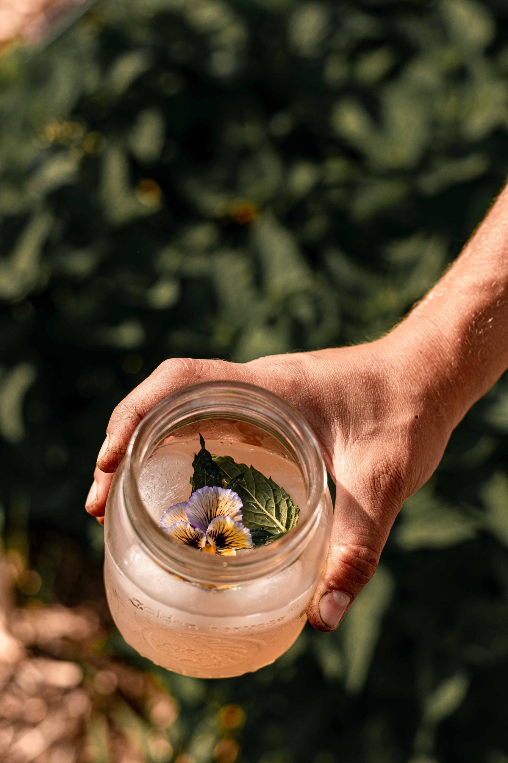 Sirop de prunes sauvages