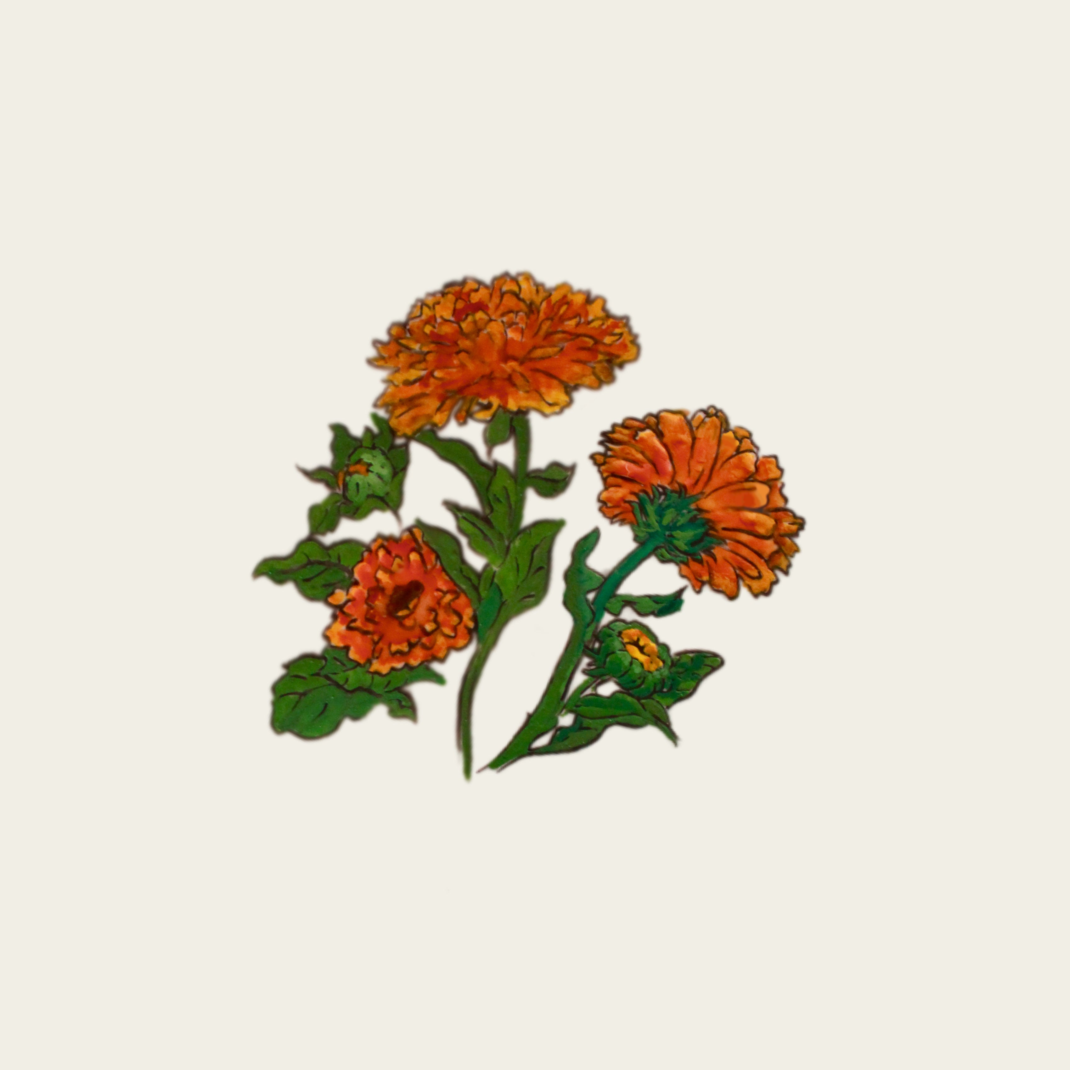 Calendule