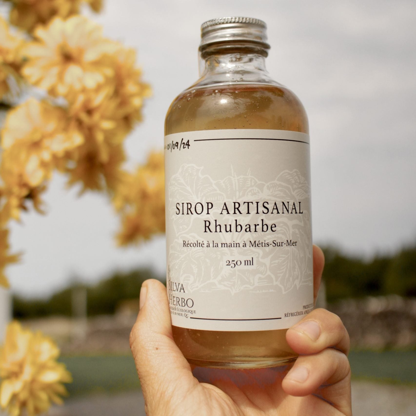 Sirop de rhubarbe