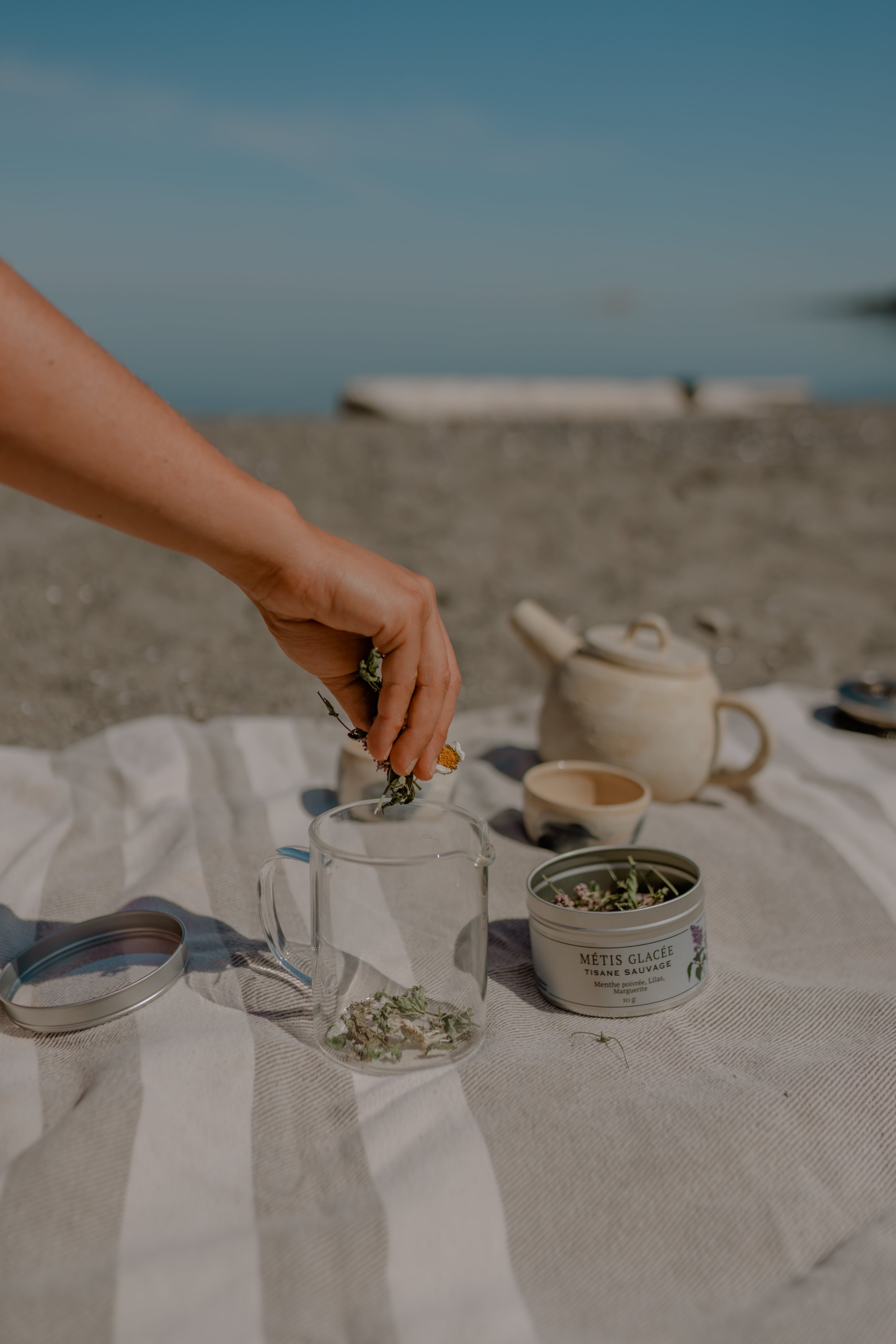 Tisane MÉTIS GLACÉE