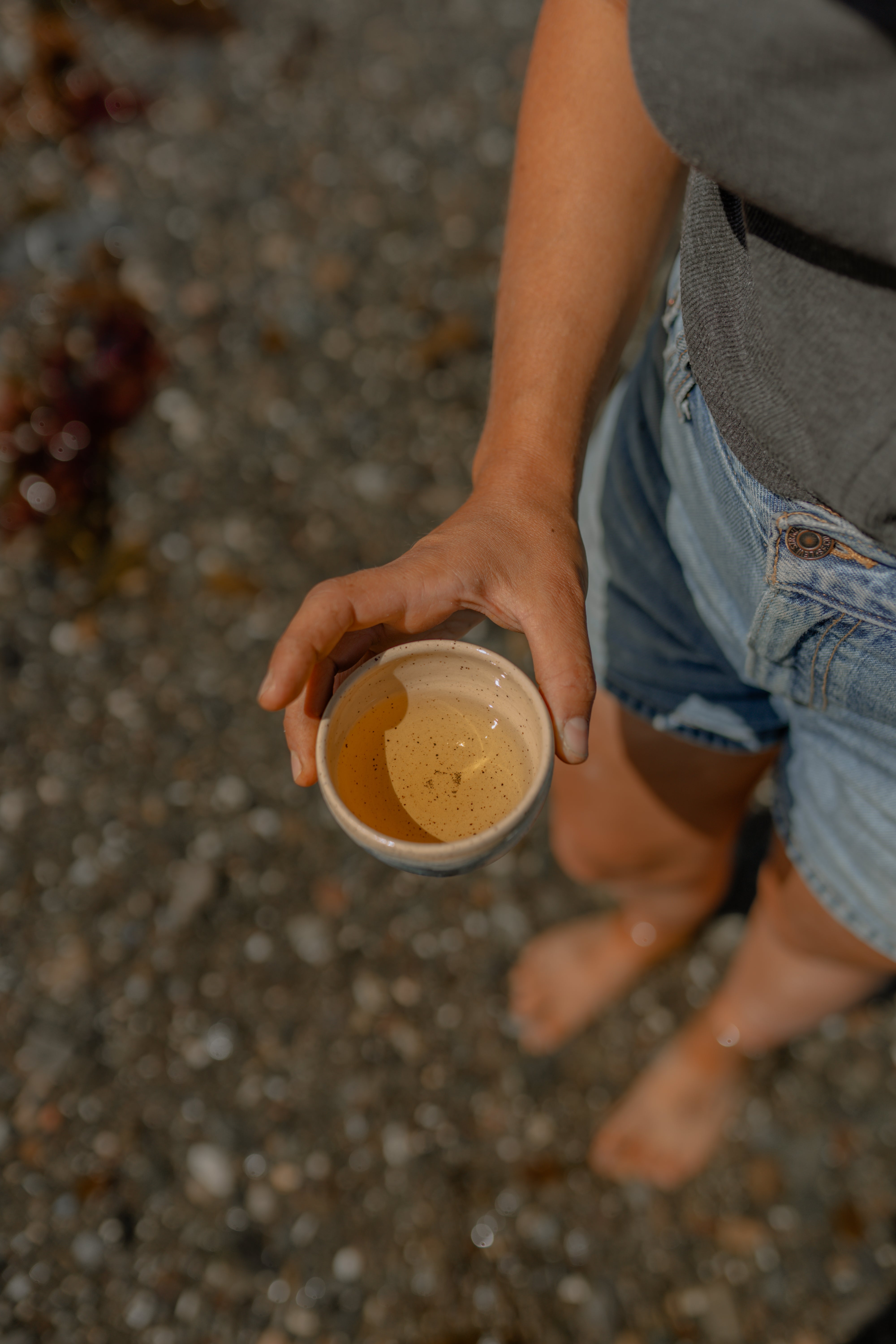 Tisane MÉTIS GLACÉE