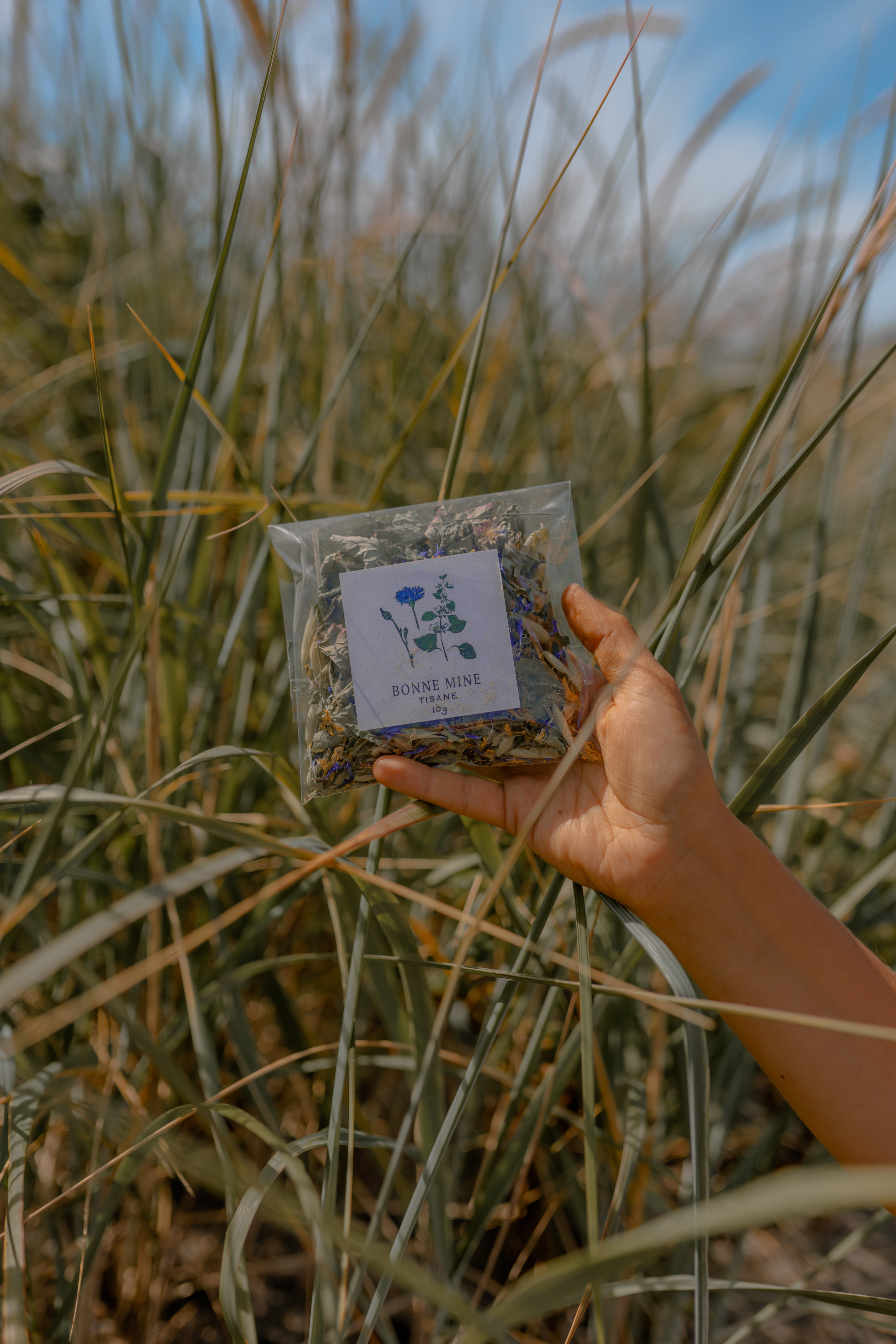 Tisane BONNE MINE