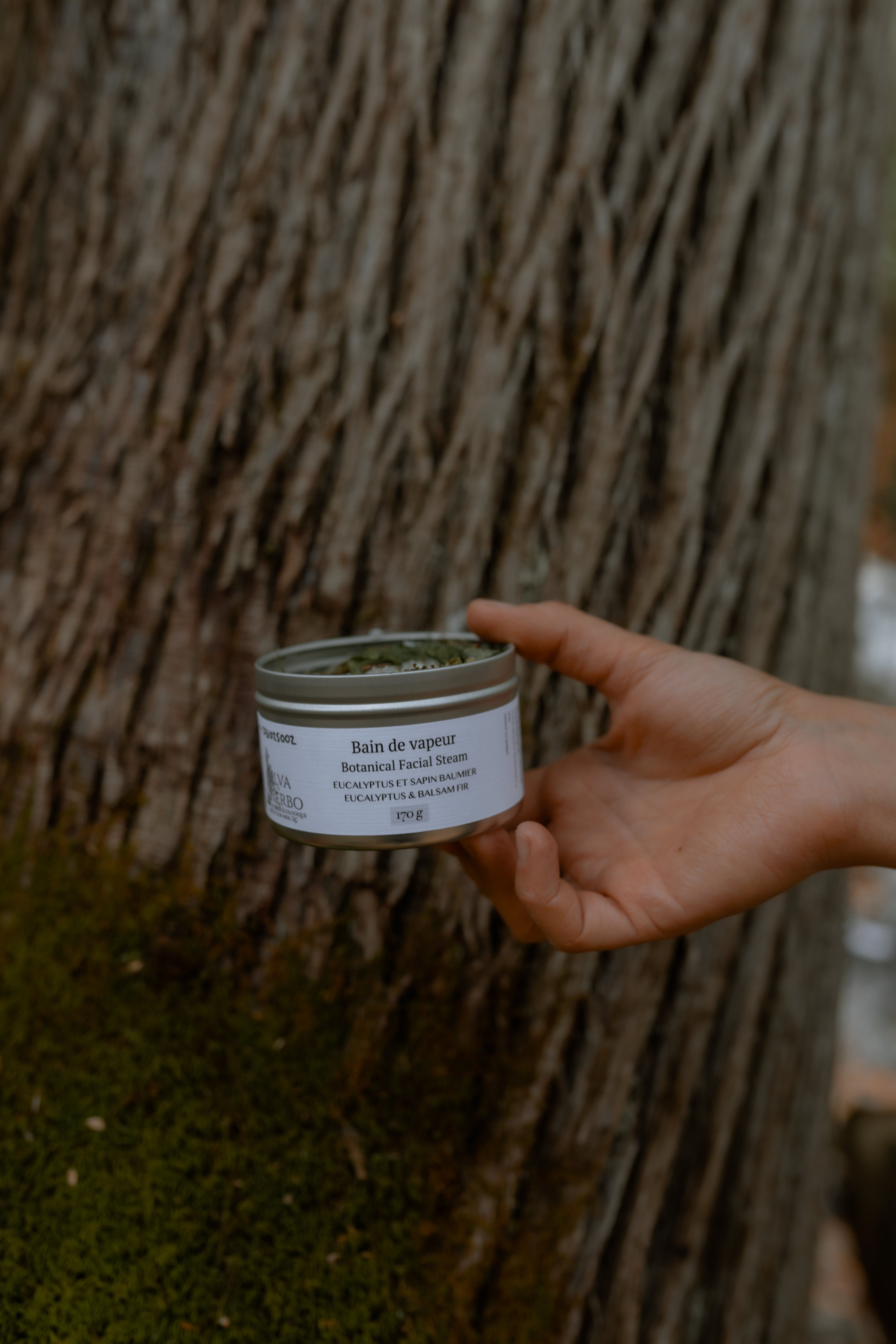 Bain de vapeur - Eucalyptus et sapin baumier