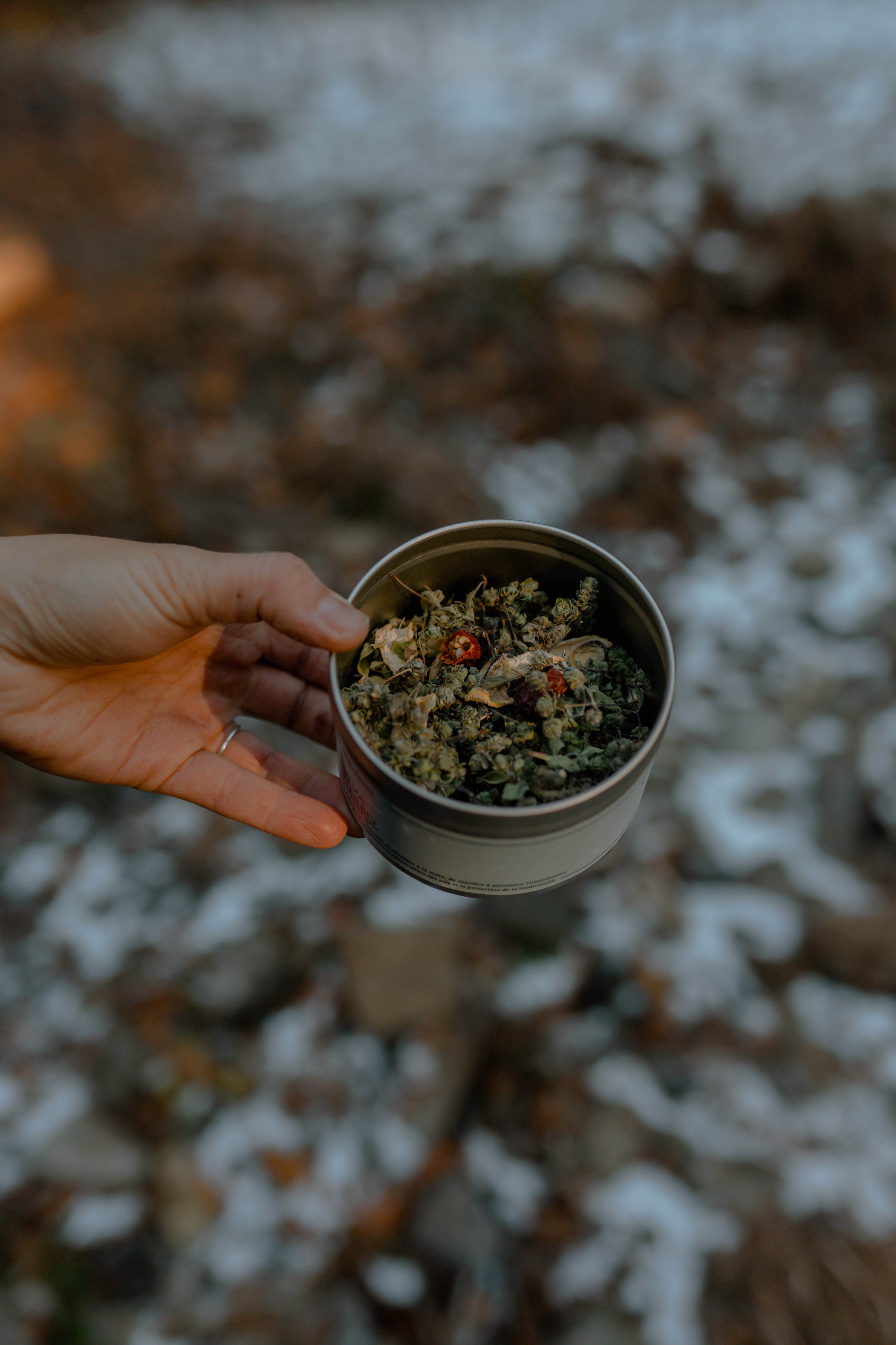 Tisane CHAÏ BORÉAL