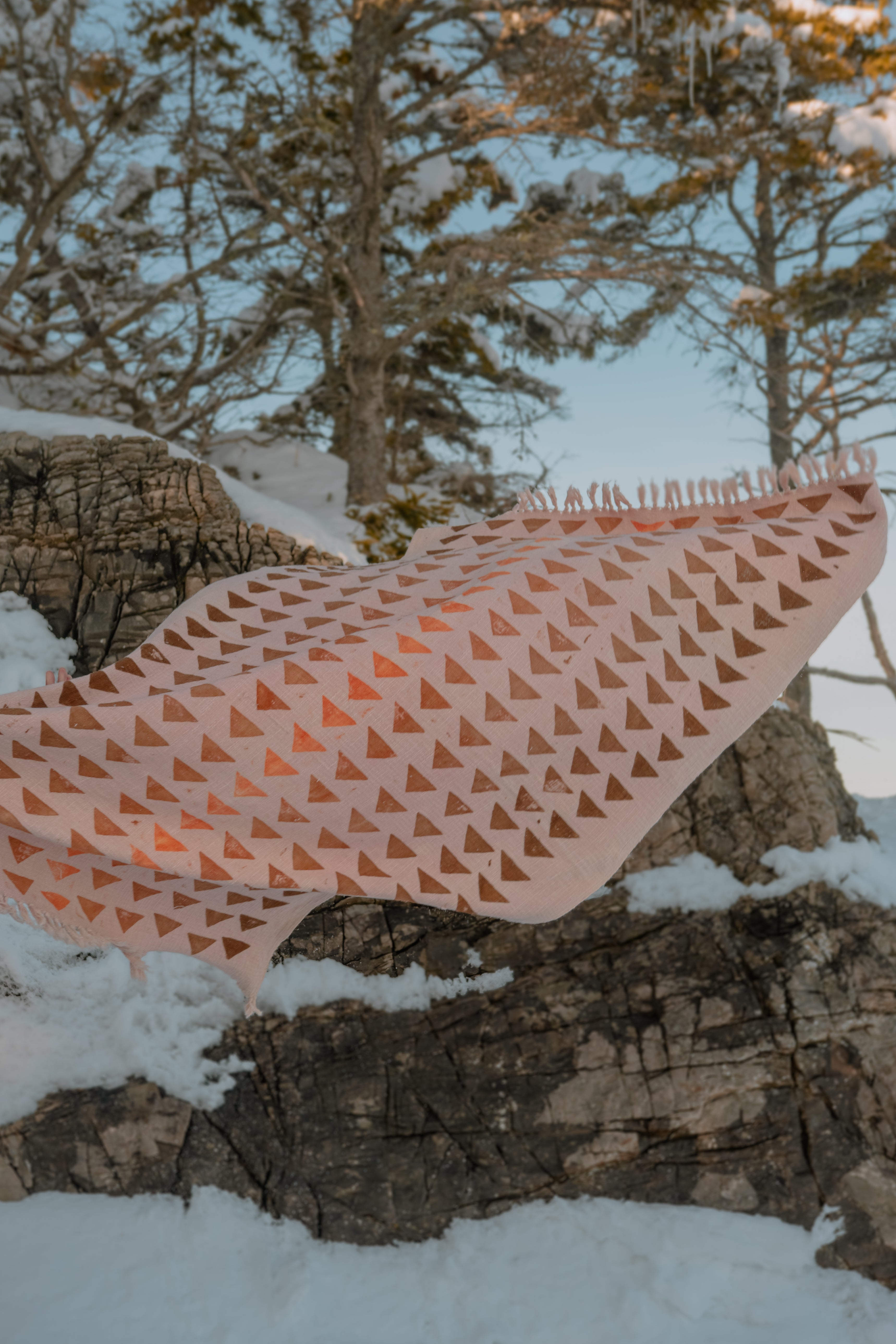 Jeté de coton – Coréopsis