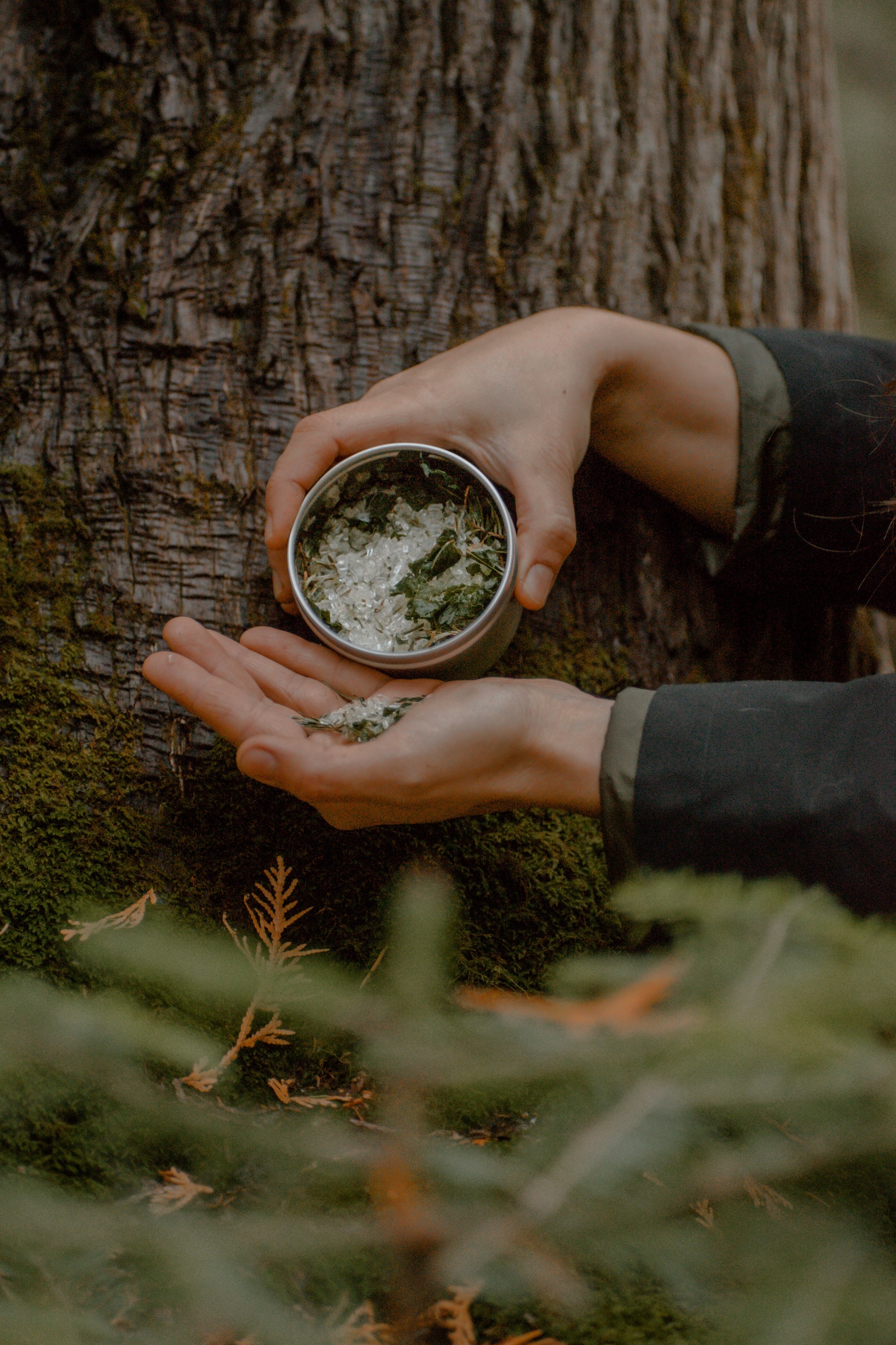 Bain de vapeur - Eucalyptus et sapin baumier