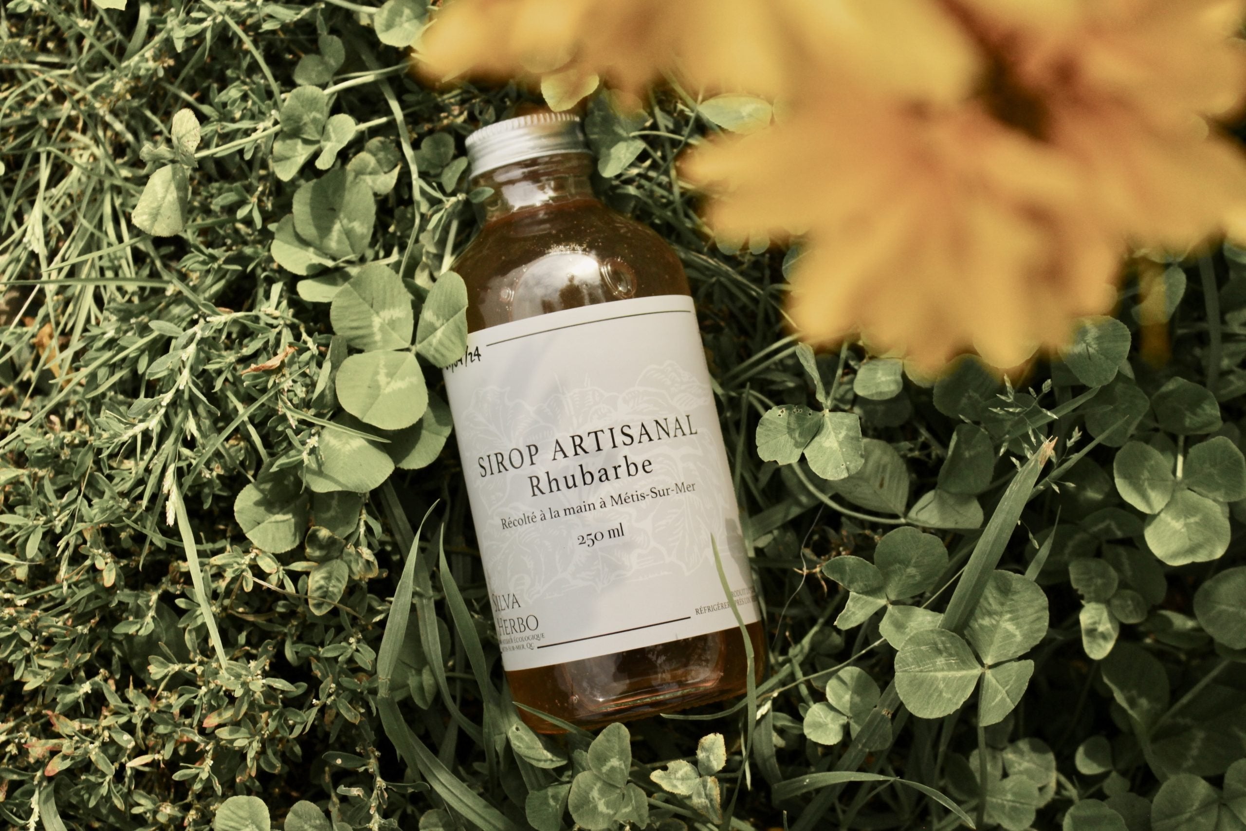 Sirop de rhubarbe